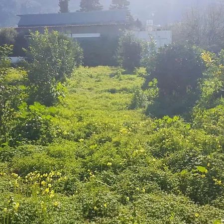 The Green Kazafani Holiday home